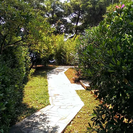 Matejo Villa