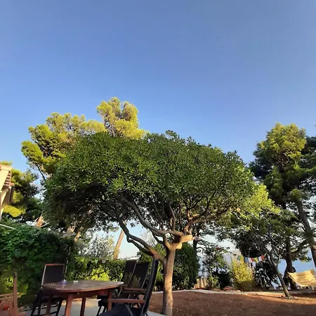 Matejo * מימיצה