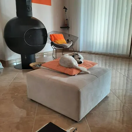 Villa Matejo Mimice